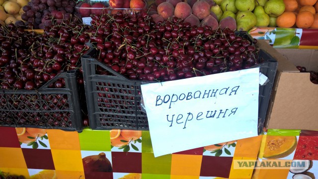 Поездка в Витязево