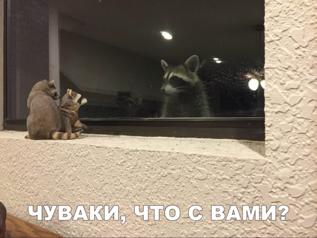 Нестандартный юмор