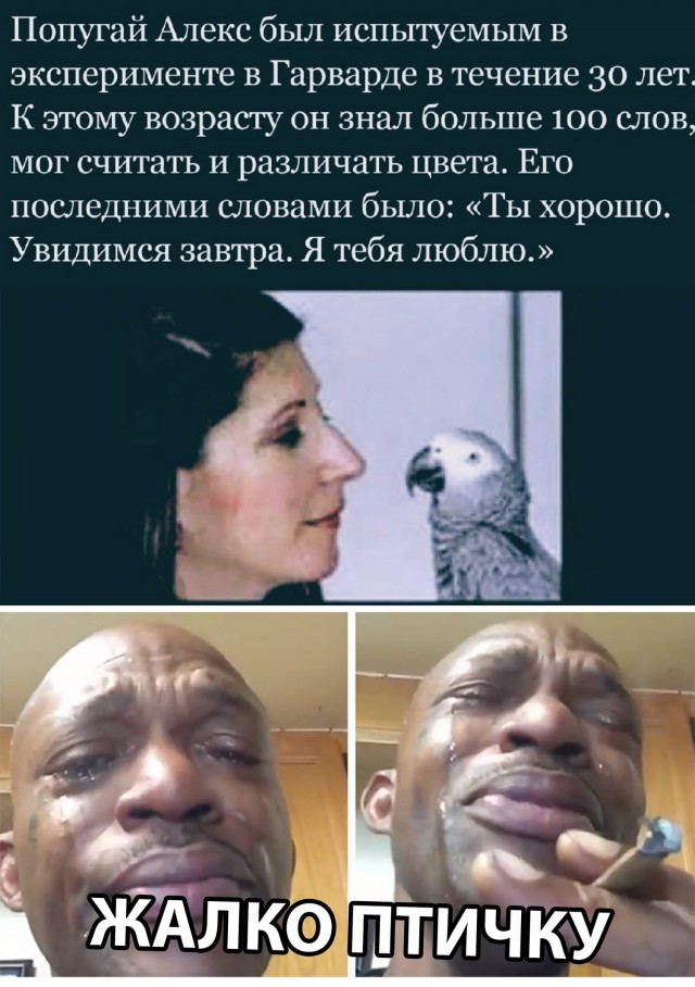 Нестандартный юмор