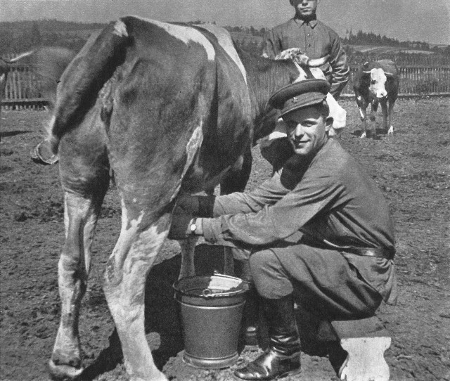 Интересные и редкие фотографии