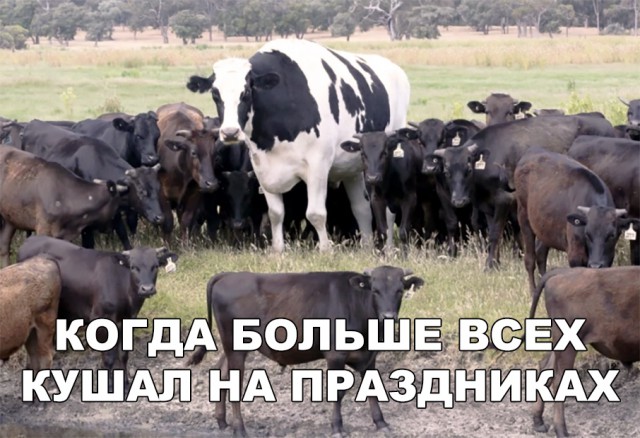 Нестандартный юмор
