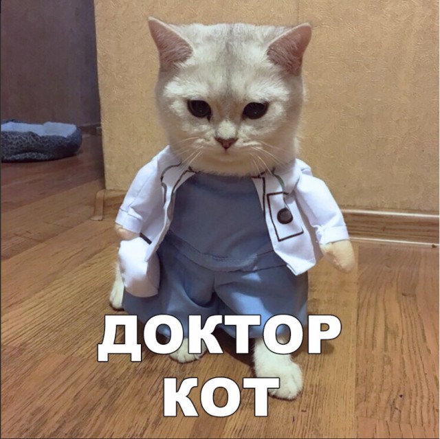 Нестандартный юмор