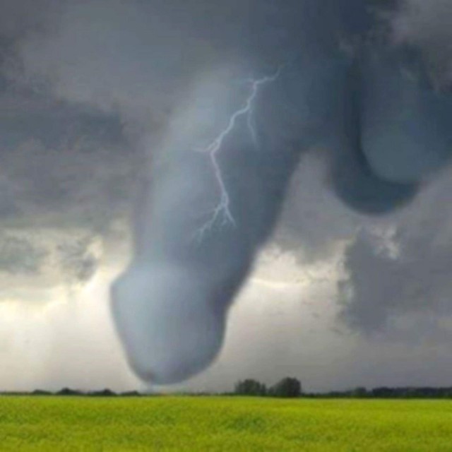 Ума палата №6