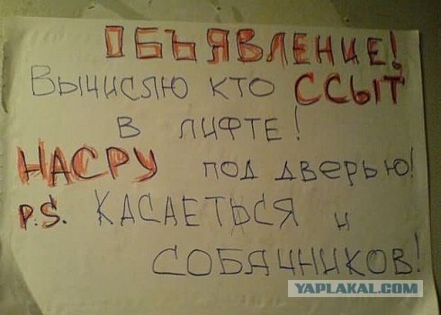 Касается и собачников