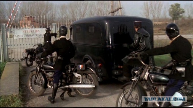 Игра в "кошки-мышки" и поддержка болельщиков