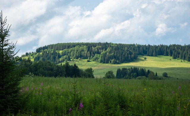 Деревенская Америка - 6