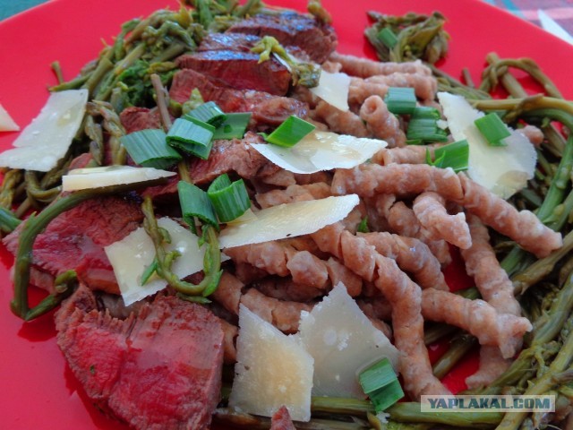 Лапша лугового флота свободного выгула