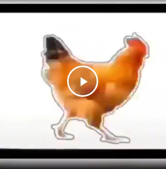 Кому нечем заняться: ловите курицу, нажимая на паузу