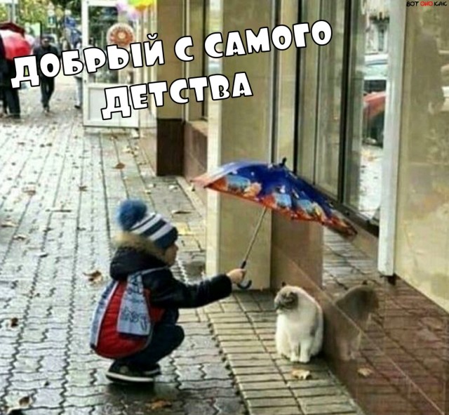 Бредзона 14.05.20