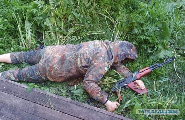 На Украине пьяный охотник застрелил в лесу семь человек