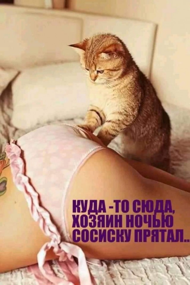 Немного картинок для настроения 25.06.20
