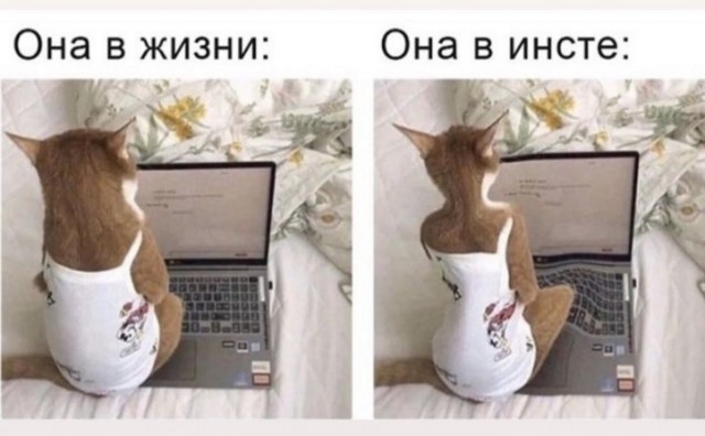 Помните, была такая, сука, инстаграмка...
