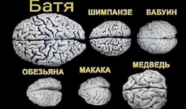 Картинки с надписями фразы  и анекдоты 16.11.20