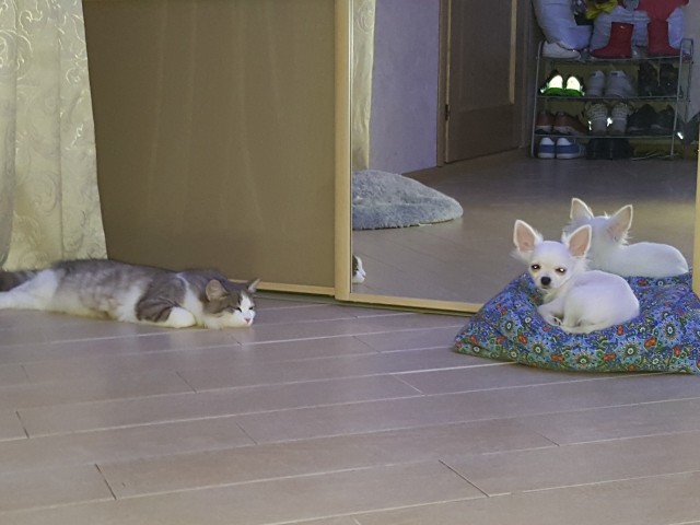 Удачный кадр. Фотопост