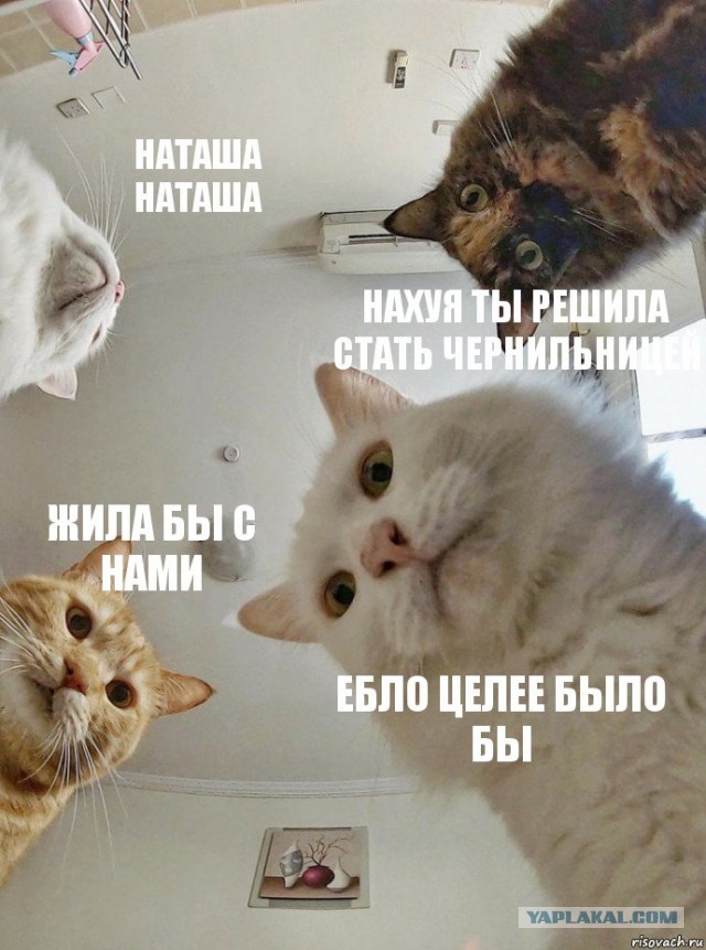 Отрежу тебе лицо: любовник два дня истязал россиянку в отеле в Турции