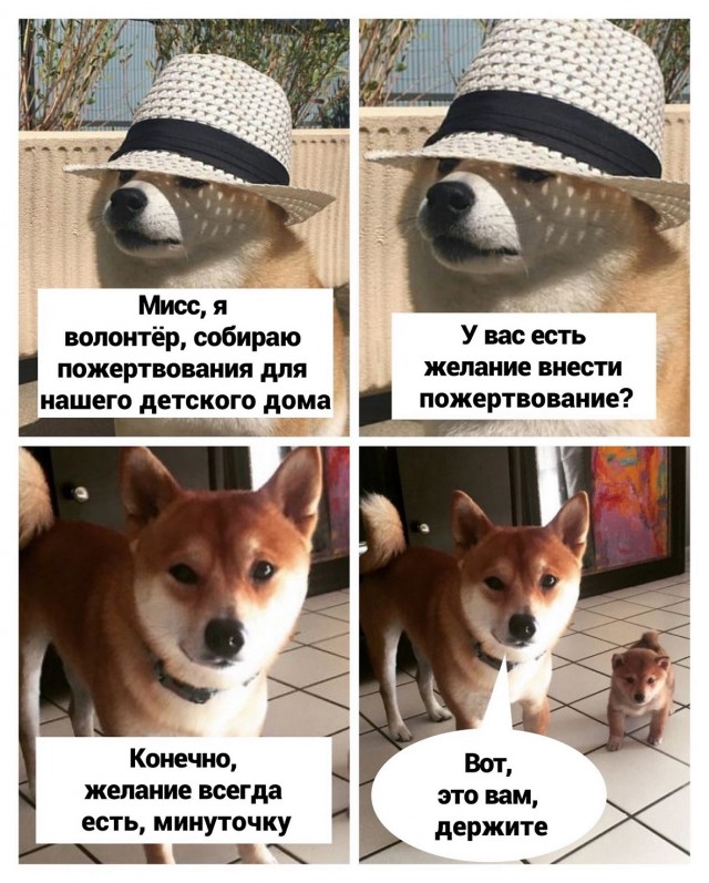 Весёлый полтишок 6.08
