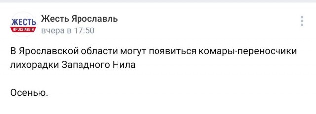 В Ярославской области идет уничтожение поголовья свиней, в частных хозяйствах
