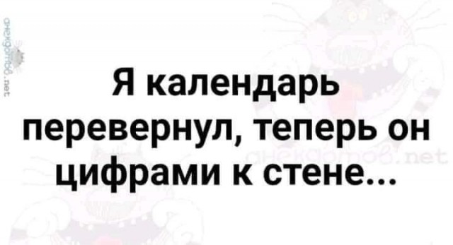 Всяческие картинки 24.12.2021