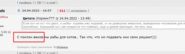 "ВКРАТЦЕ"! Давайте писать правильно