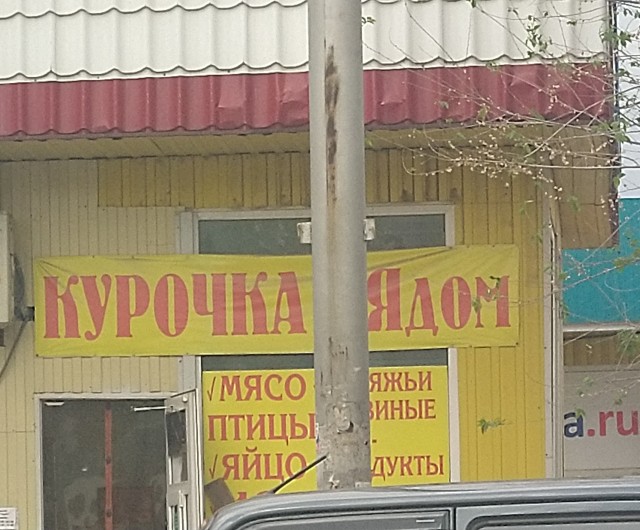 Весёлый полтишок 17.05.22