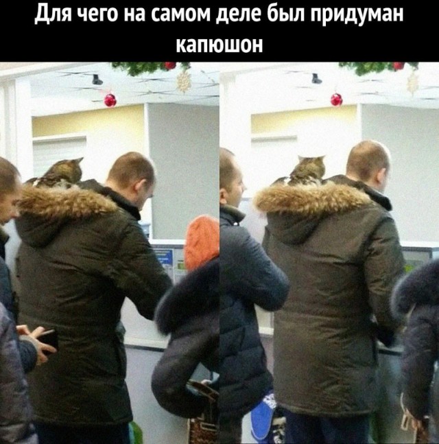 Картинки и мемы для настроения  - 31