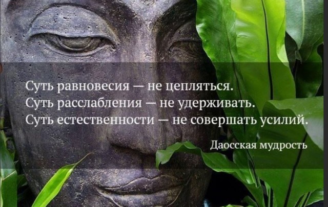 Пандемия съехавших крыш. Разновидности болезни. Россия и мир. Часть 36