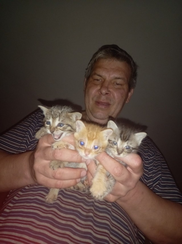Жизнь домашнего приюта "Котоленд" 346