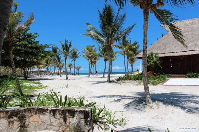 Поездка в Мексику (за деньги)