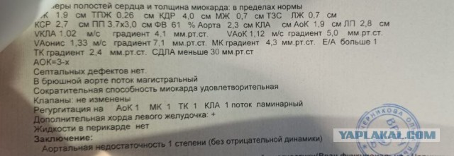 Лучшая благодарность за работу!