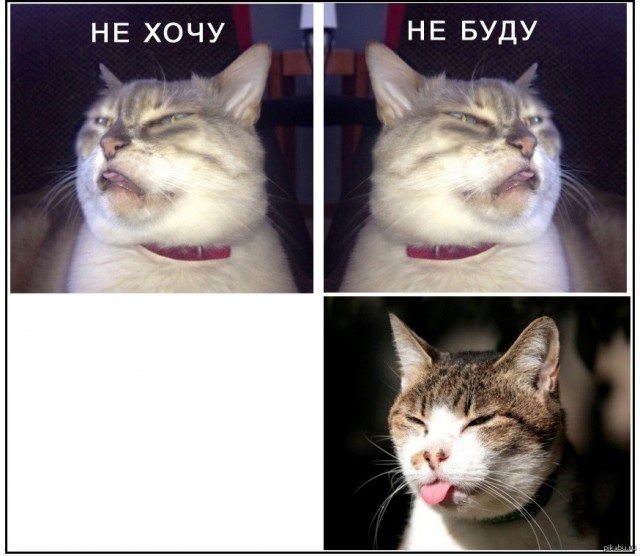 ❗️Путин подписал указ об ответных мерах на введение потолка цен на российскую нефть.