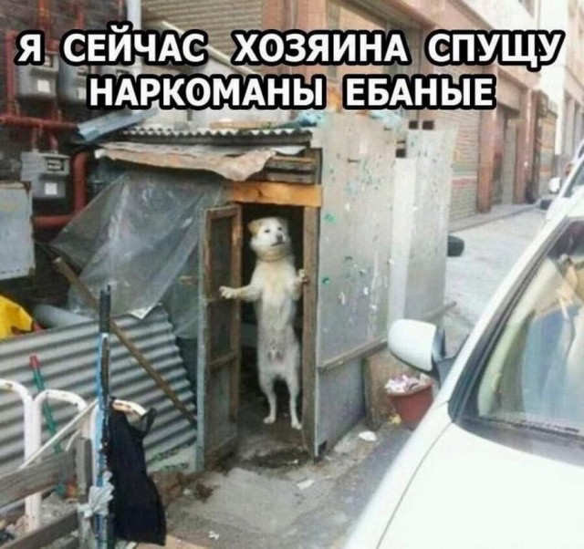 Картинки и мемы, всем хороших выходных