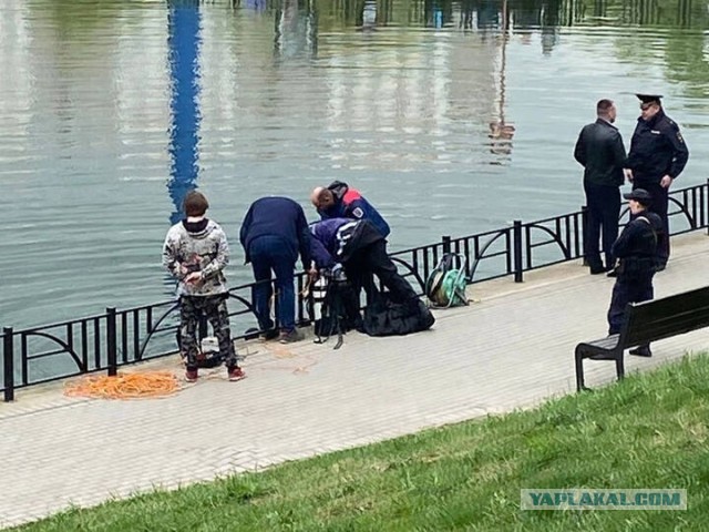 Жуткую находку обнаружил москвич