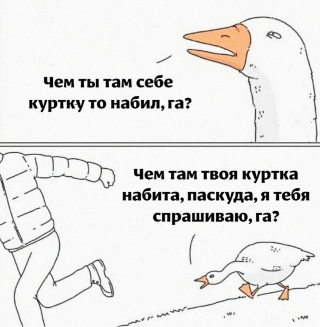Весёлый полтишок 28.09.23