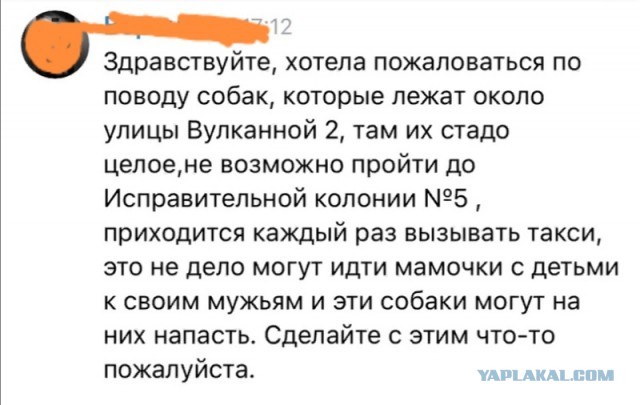 Весёлый полтишок 06.02.24