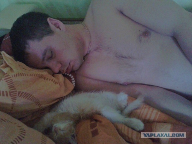 Котовторник 21.05.2013