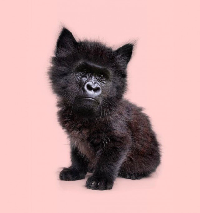 Всего понемногу. От 07.08