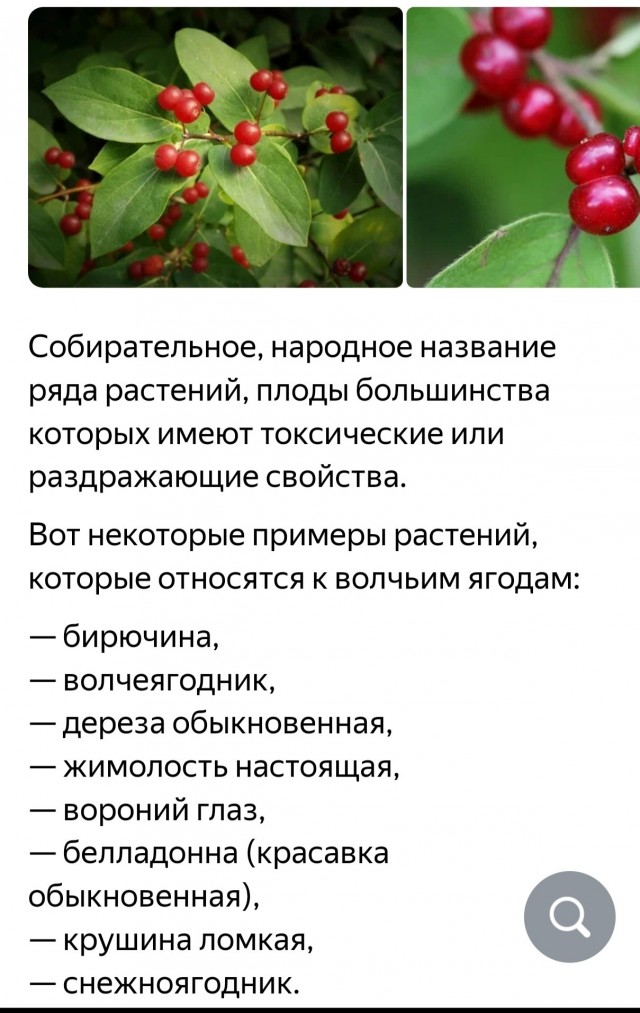 Териберка. Конец августа 2024