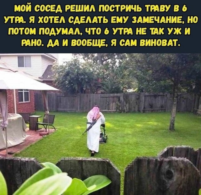 Так себе картинки 20.10.24