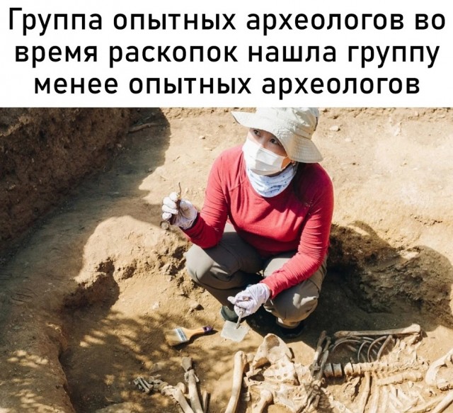 Весёлый полтишок 11.11.24