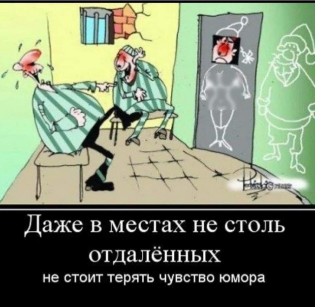 Немного забавных картинок от 22.12.24