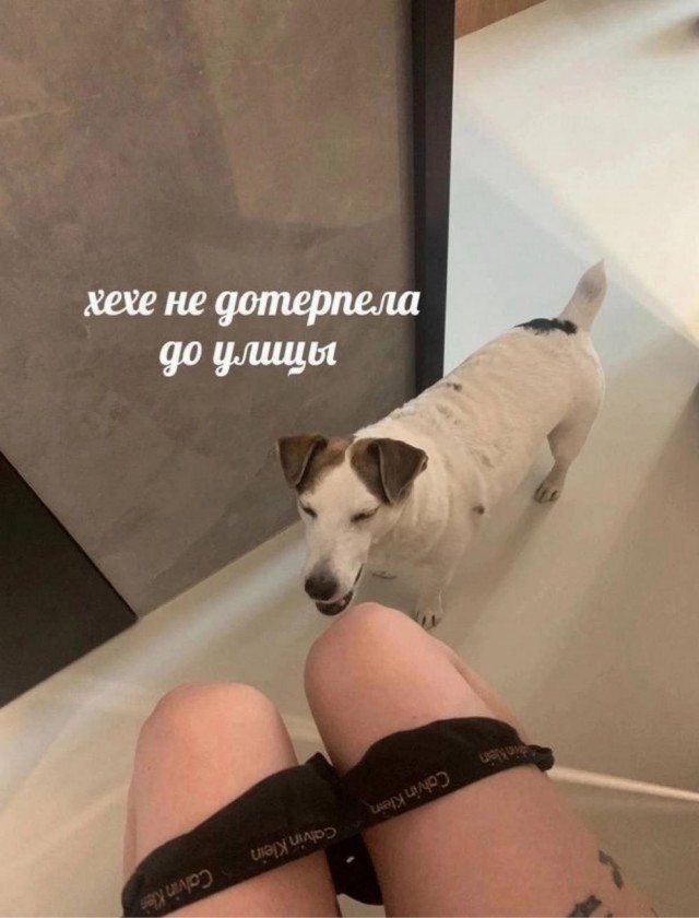 Нарния