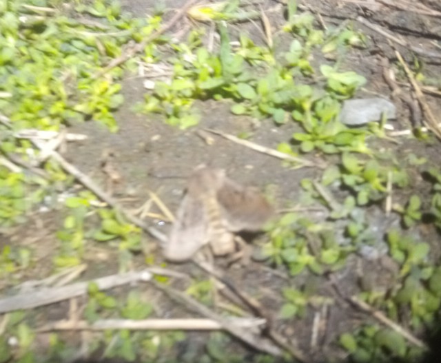 Чё происходит то?