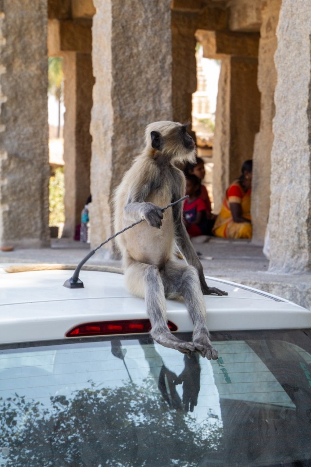Бутан, таинственный Бутан