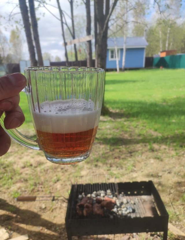 Вечерний шашлык