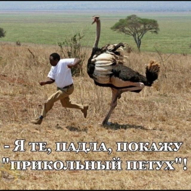 Маленькая пятница 28.05