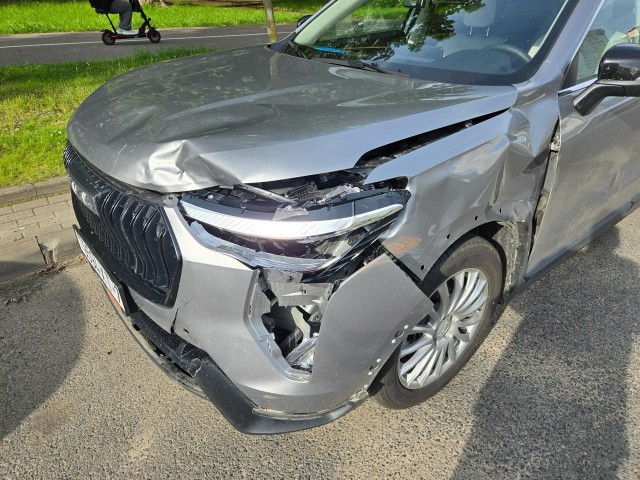 Жалко лосяша