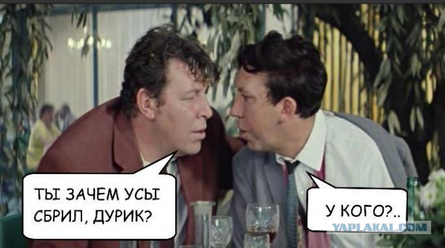 Тут накануне в Раменском школоту на питбайках ловили