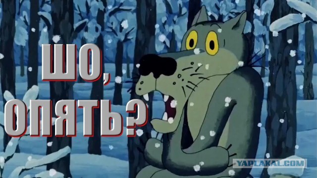 Из-за врачебной ошибки 167 пациентов онкодиспансера заразились гепатитом B и C на Камчатке