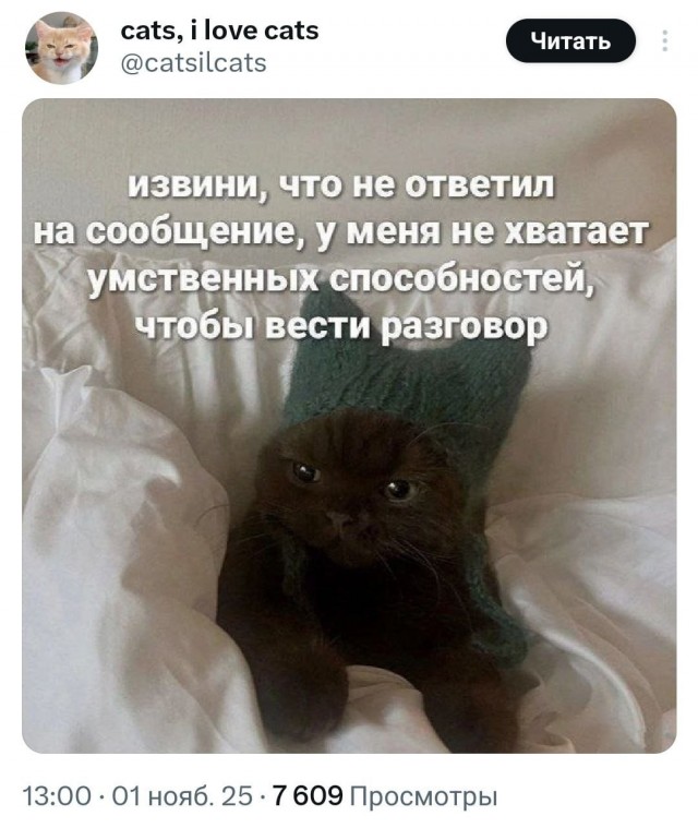 Картинки для деградации 77 (разной степени свежести)