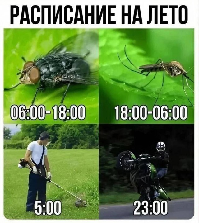 Мои избранные картинки часть 5